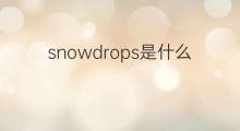 snowdrops是什么意思 snowdrops的中文翻译、读音、例句