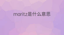 maritz是什么意思 maritz的中文翻译、读音、例句