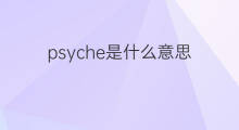 psyche是什么意思 psyche的中文翻译、读音、例句