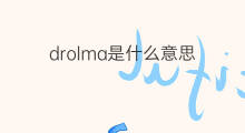 drolma是什么意思 drolma的中文翻译、读音、例句