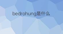 bedrohung是什么意思 bedrohung的中文翻译、读音、例句