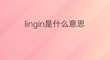 lingin是什么意思 lingin的中文翻译、读音、例句