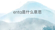 enta是什么意思 enta的中文翻译、读音、例句