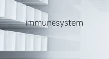 immunesystem是什么意思 immunesystem的中文翻译、读音、例句