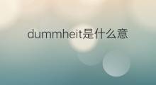 dummheit是什么意思 dummheit的中文翻译、读音、例句