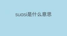 suasi是什么意思 suasi的中文翻译、读音、例句