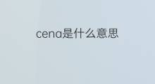 cena是什么意思 cena的中文翻译、读音、例句