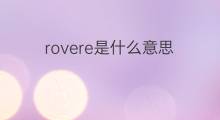 rovere是什么意思 rovere的中文翻译、读音、例句