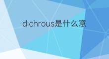 dichrous是什么意思 dichrous的中文翻译、读音、例句