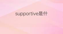supportive是什么意思 supportive的中文翻译、读音、例句