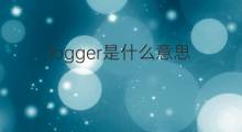logger是什么意思 logger的中文翻译、读音、例句