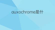 auxochrome是什么意思 auxochrome的中文翻译、读音、例句