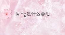living是什么意思 living的中文翻译、读音、例句