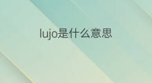 lujo是什么意思 lujo的中文翻译、读音、例句