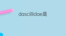 dascillidae是什么意思 dascillidae的中文翻译、读音、例句