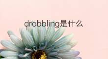 drabbling是什么意思 drabbling的中文翻译、读音、例句