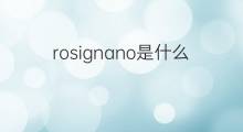 rosignano是什么意思 rosignano的中文翻译、读音、例句