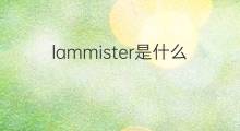lammister是什么意思 lammister的中文翻译、读音、例句