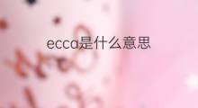 ecca是什么意思 ecca的中文翻译、读音、例句