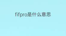 fifpro是什么意思 fifpro的中文翻译、读音、例句