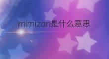 mimizan是什么意思 mimizan的中文翻译、读音、例句