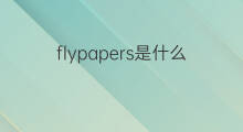 flypapers是什么意思 flypapers的中文翻译、读音、例句