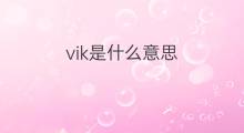 vik是什么意思 vik的中文翻译、读音、例句