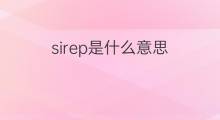 sirep是什么意思 sirep的中文翻译、读音、例句