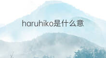 haruhiko是什么意思 haruhiko的中文翻译、读音、例句