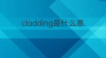 cladding是什么意思 cladding的中文翻译、读音、例句