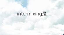 intermixing是什么意思 intermixing的中文翻译、读音、例句