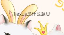 flexus是什么意思 flexus的中文翻译、读音、例句