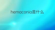hemaconia是什么意思 hemaconia的中文翻译、读音、例句