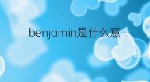 benjamin是什么意思 benjamin的中文翻译、读音、例句