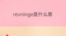 revninge是什么意思 revninge的中文翻译、读音、例句