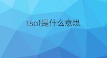 tsaf是什么意思 tsaf的中文翻译、读音、例句