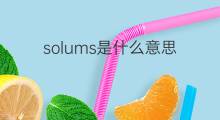 solums是什么意思 solums的中文翻译、读音、例句