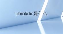 phialidic是什么意思 phialidic的中文翻译、读音、例句