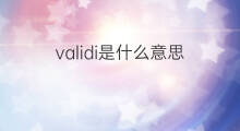 validi是什么意思 validi的中文翻译、读音、例句