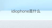 idiophone是什么意思 idiophone的中文翻译、读音、例句