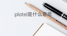 platel是什么意思 platel的中文翻译、读音、例句