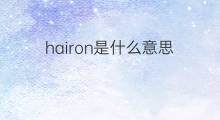hairon是什么意思 hairon的中文翻译、读音、例句