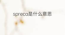 spreca是什么意思 spreca的中文翻译、读音、例句