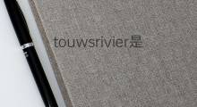 touwsrivier是什么意思 touwsrivier的中文翻译、读音、例句