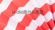 skidlid是什么意思 skidlid的中文翻译、读音、例句