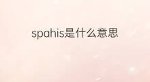 spahis是什么意思 spahis的中文翻译、读音、例句
