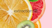 extractions是什么意思 extractions的中文翻译、读音、例句