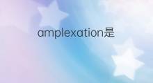 amplexation是什么意思 amplexation的中文翻译、读音、例句