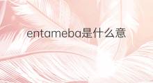 entameba是什么意思 entameba的中文翻译、读音、例句