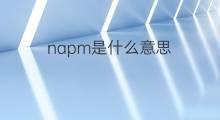 napm是什么意思 napm的中文翻译、读音、例句